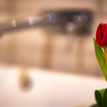 קורורט גוריש Logis Hotel Quartier 5, Saechsische Schweiz, Mit Restaurant, Cafe & Bar מראה חיצוני תמונה