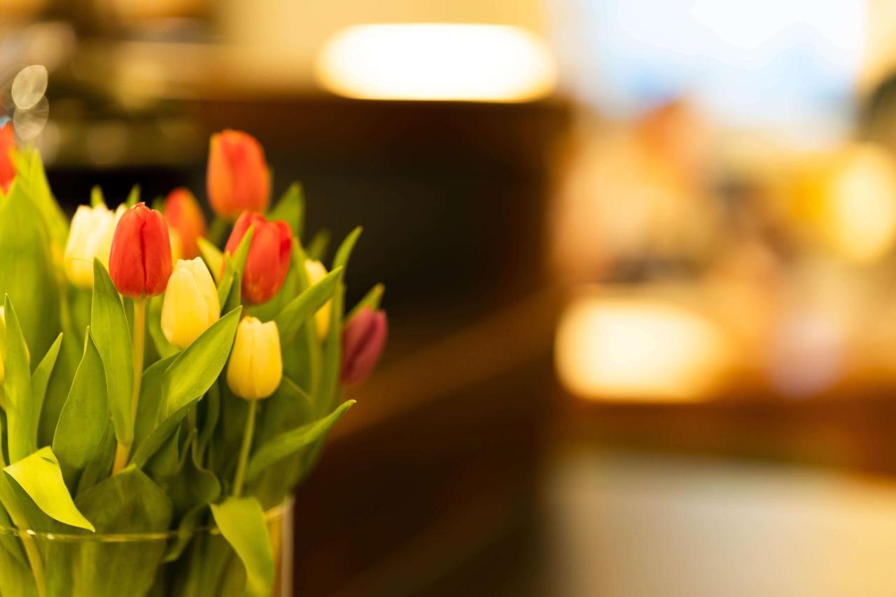 קורורט גוריש Logis Hotel Quartier 5, Saechsische Schweiz, Mit Restaurant, Cafe & Bar מראה חיצוני תמונה