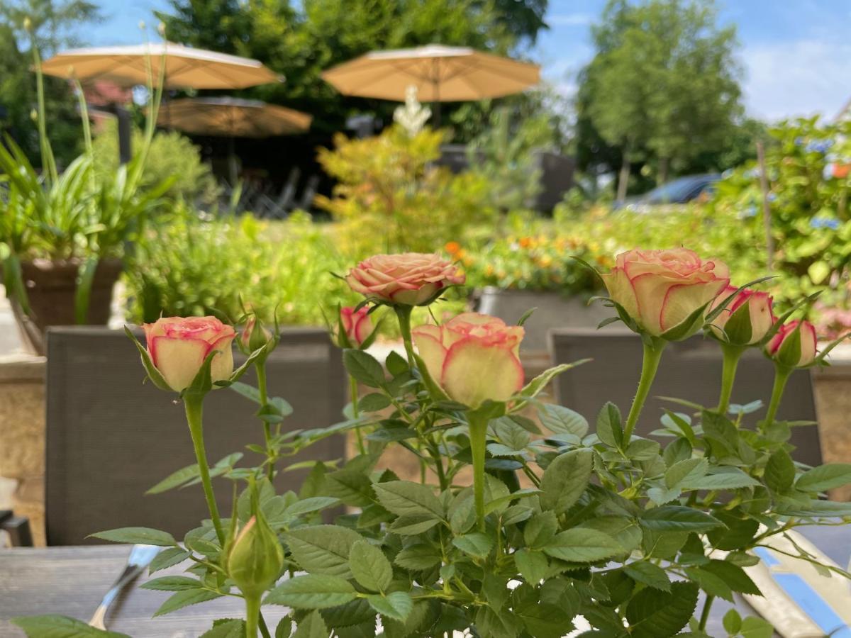 קורורט גוריש Logis Hotel Quartier 5, Saechsische Schweiz, Mit Restaurant, Cafe & Bar מראה חיצוני תמונה