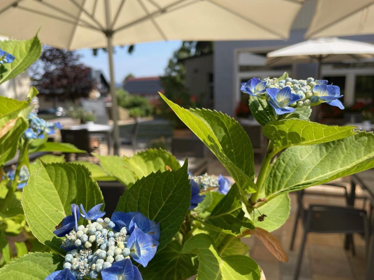 קורורט גוריש Logis Hotel Quartier 5, Saechsische Schweiz, Mit Restaurant, Cafe & Bar מראה חיצוני תמונה