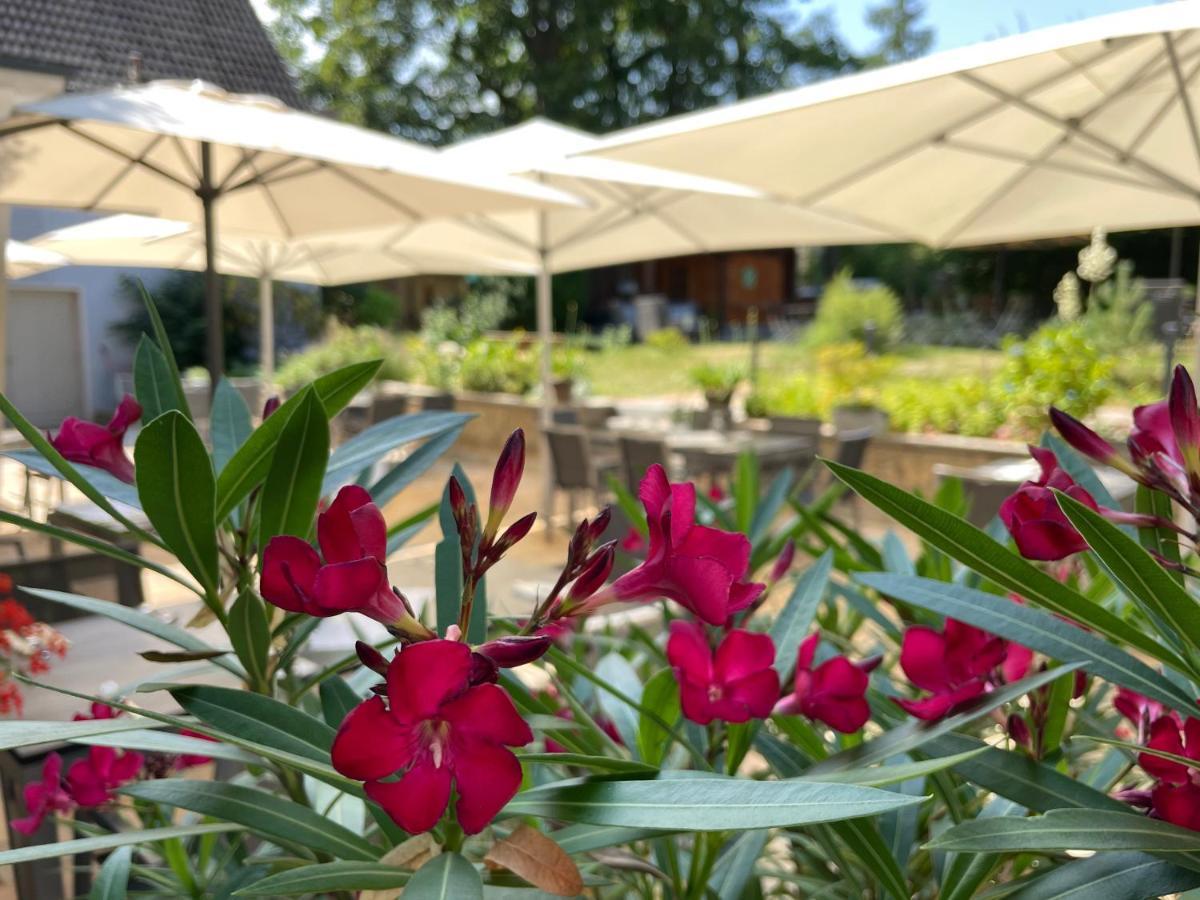 קורורט גוריש Logis Hotel Quartier 5, Saechsische Schweiz, Mit Restaurant, Cafe & Bar מראה חיצוני תמונה