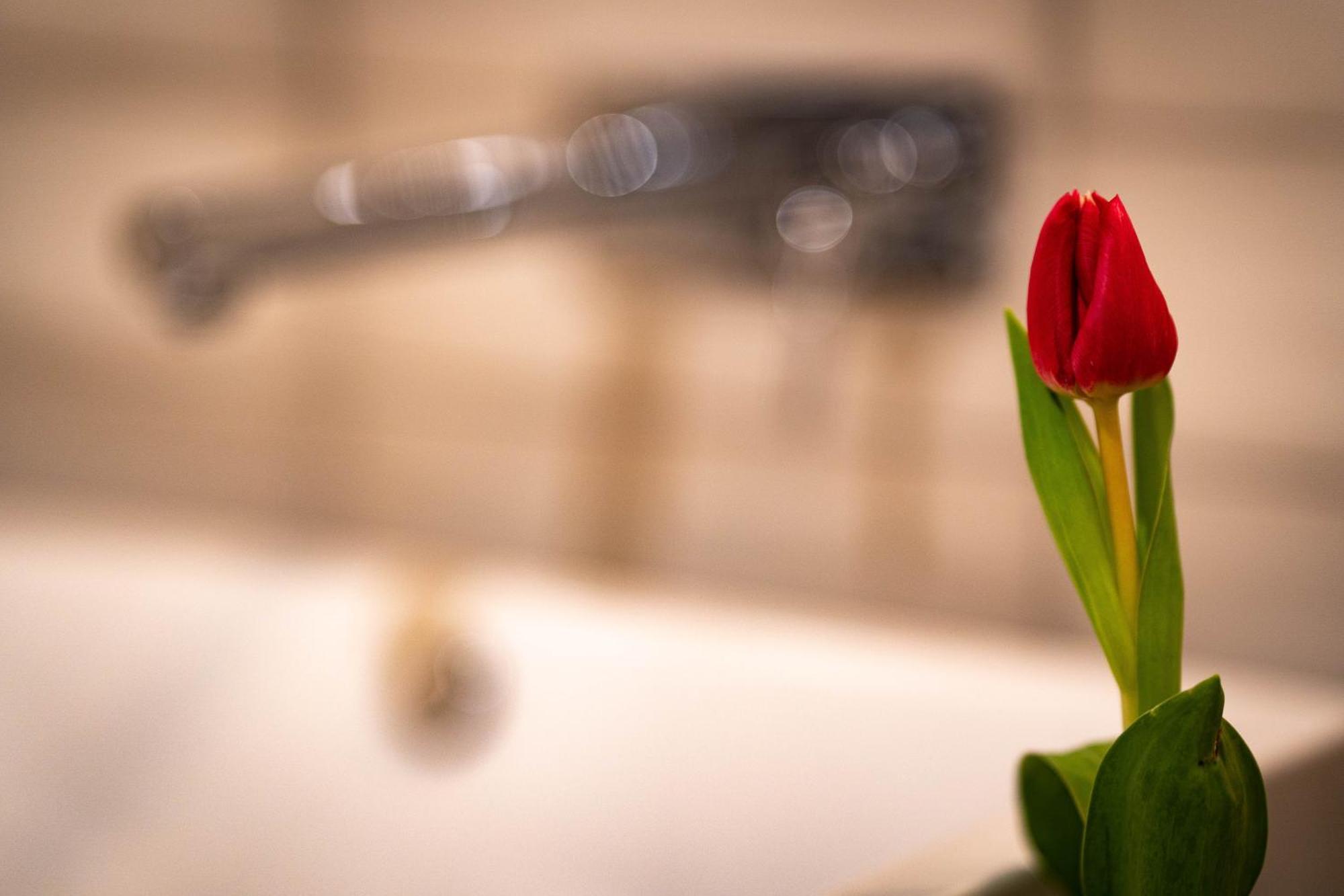 קורורט גוריש Logis Hotel Quartier 5, Saechsische Schweiz, Mit Restaurant, Cafe & Bar מראה חיצוני תמונה
